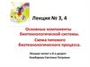 Основные компоненты биотехнологической системы. Схема типового биотехнологического процесса
