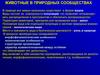 Животные в природных сообществах