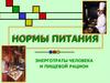 Нормы питания. Энерготраты человека и пищевой рацион