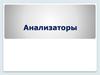 Анализаторы. Внешние и внутренние анализаторы