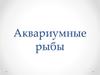 Аквариумные рыбки