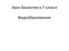Многообразие видов как результат эволюции. 7 класс