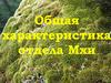 Общая характеристика отдела Мхи