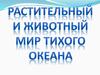 Растительный и животный мир Тихого океана