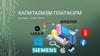 Капитализм платформ. Big Data