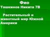 Растительный и животный мир Южной Америки