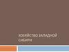 Хозяйство Западной Сибири