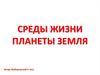 Среды жизни планеты Земля