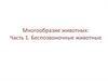 Многообразие животных. Часть 1. Подцарство Простейшие
