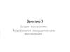 Острое воспаление. Морфология экссудативного воспаления. Патологическая анатомия