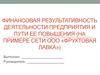 Финансовая результативность деятельности предприятия и пути ее повышения (на примере сети ООО «Фруктовая лавка»)