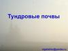 Тундровые почвы
