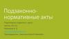 Подзаконно-нормативные акты