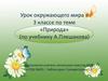 Природа. Урок окружающего мира в 3 классе