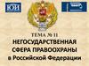 Негосударственная сфера правоохраны в Российской Федерации