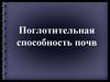 Поглотительная способность почв