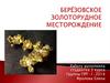 Берёзовское золоторудное месторождение
