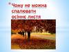 Чому не можна спалювати осіннє листя