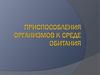 Приспособления организмов к  среде обитания