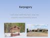 Karpogory