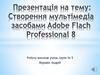 Створення мультімедіа засобами Adobe Flach Professional 8