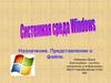 Системная среда Windows