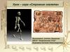Строение скелета. Урок – игра