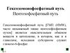 Гексозомонофосфатный путь.  Пентозофосфатный путь. Тема 7