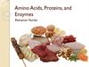 Amino Acids, Proteins, and Enzymes