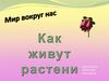 Мир вокруг нас. Как живут растения