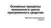 Основные процессы жизненного цикла программного средства