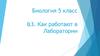 Как работают в лаборатории
