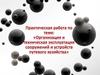 Организация и техническая эксплуатация сооружений и устройств путевого хозяйства. Практическая работа