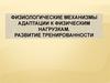 Физиологические механизмы адаптации к физическим нагрузкам. Развитие тренированности