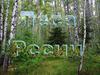 Леса России