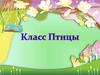 Класс Птицы