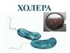 Холера - острая кишечная антропонозная инфекция