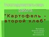 Картофель – второй хлеб. Блюда из картофеля