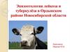 Эпизоотология лейкоза и туберкулёза в Ордынском районе Новосибирской области