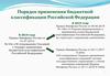 Порядок применения бюджетной классификации Российской Федерации в 2019 году