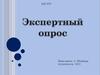 Экспертный опрос