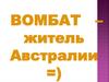 Вомбат – житель Австралии