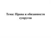 Права и обязанности супругов