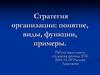 Стратегия организации: понятие, виды, функции, примеры