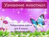 Узнавание животных. Лабораторная работа для 5 класса по природоведению