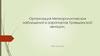 Организация Метеорологических наблюдений в аэропортах Гражданской авиации