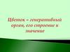 Цветок – генеративный орган, его строение и значение