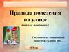 Правила поведения на улице