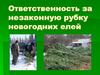Ответственность за незаконную рубку новогодних елей