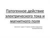 Патогенное действие электрического тока и магнитного поля